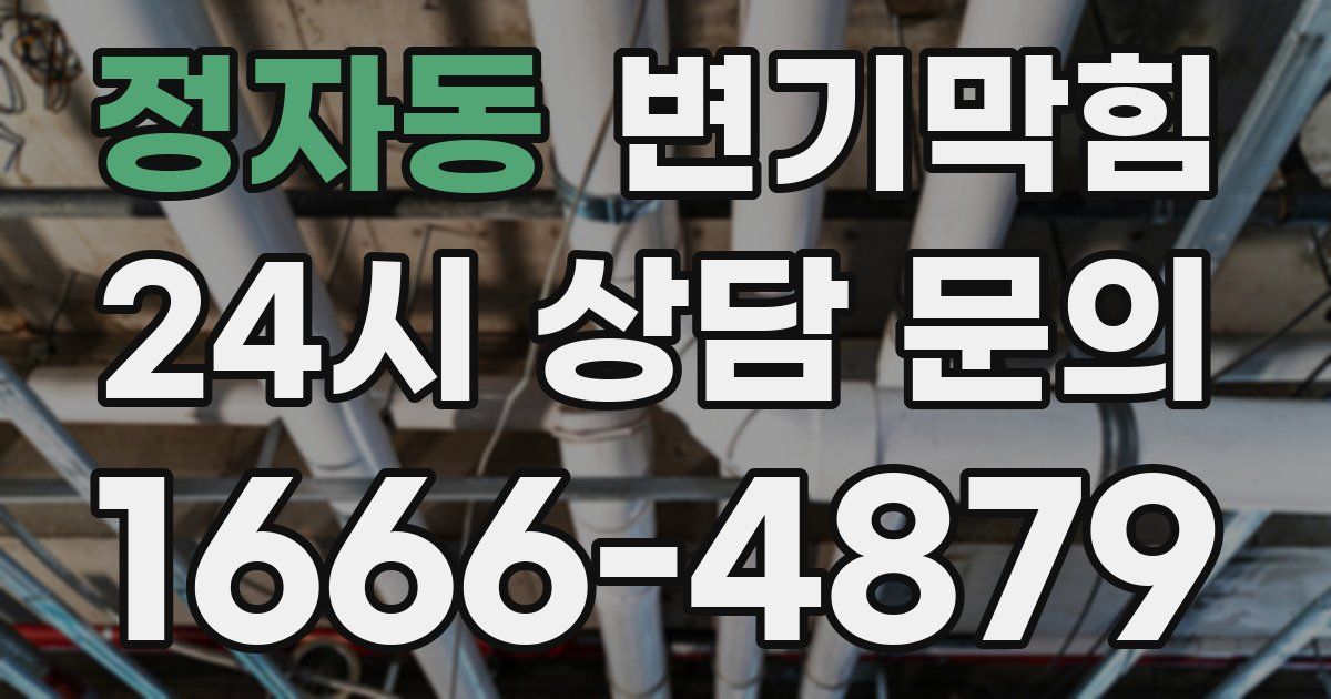 정자동 변기