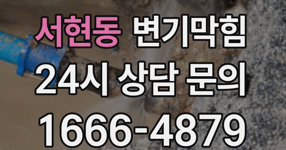서현동 변기