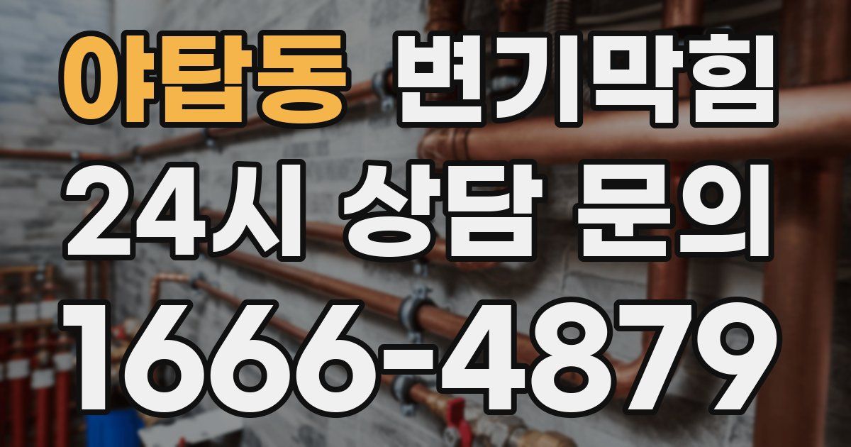 야탑동 변기