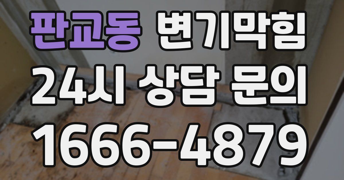 판교동 변기