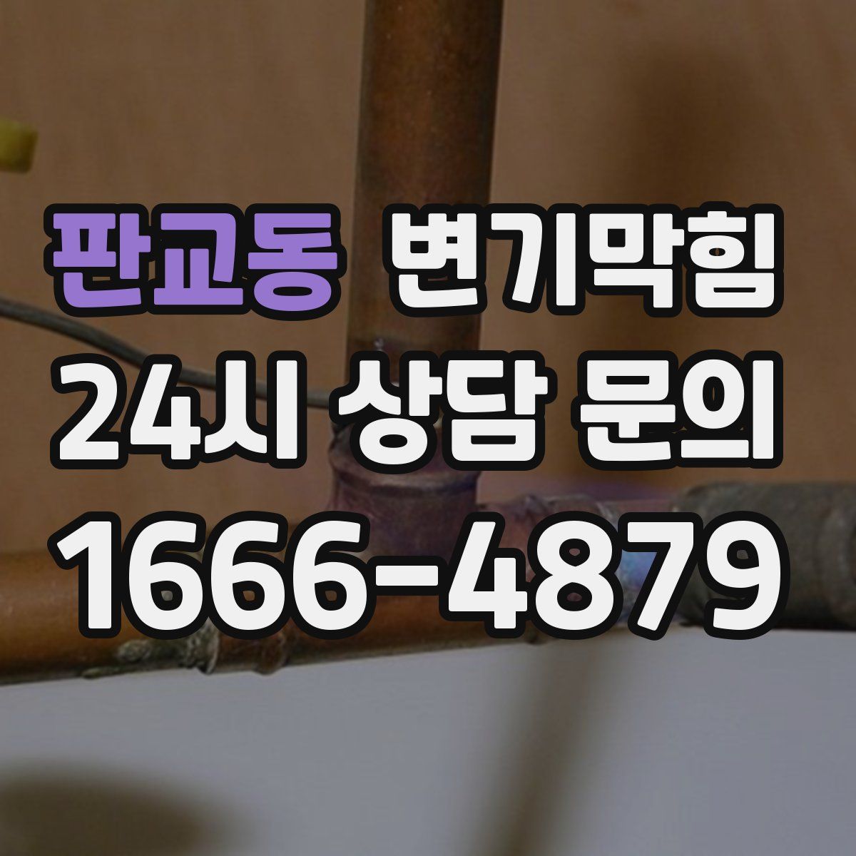 판교동 변기막힘