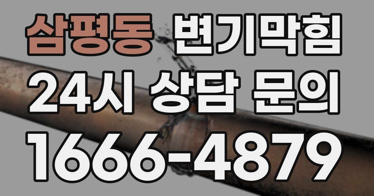 삼평동 변기