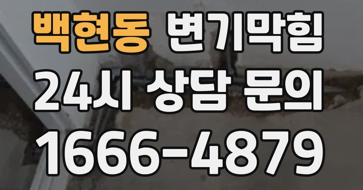 백현동 변기