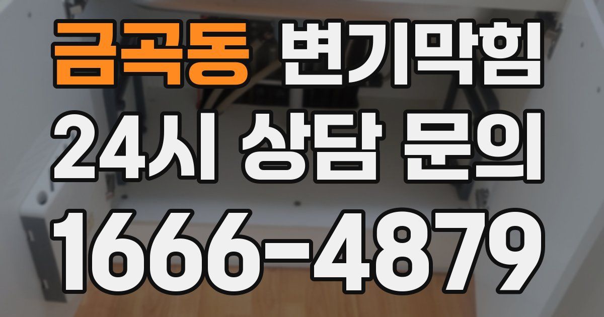 금곡동 변기