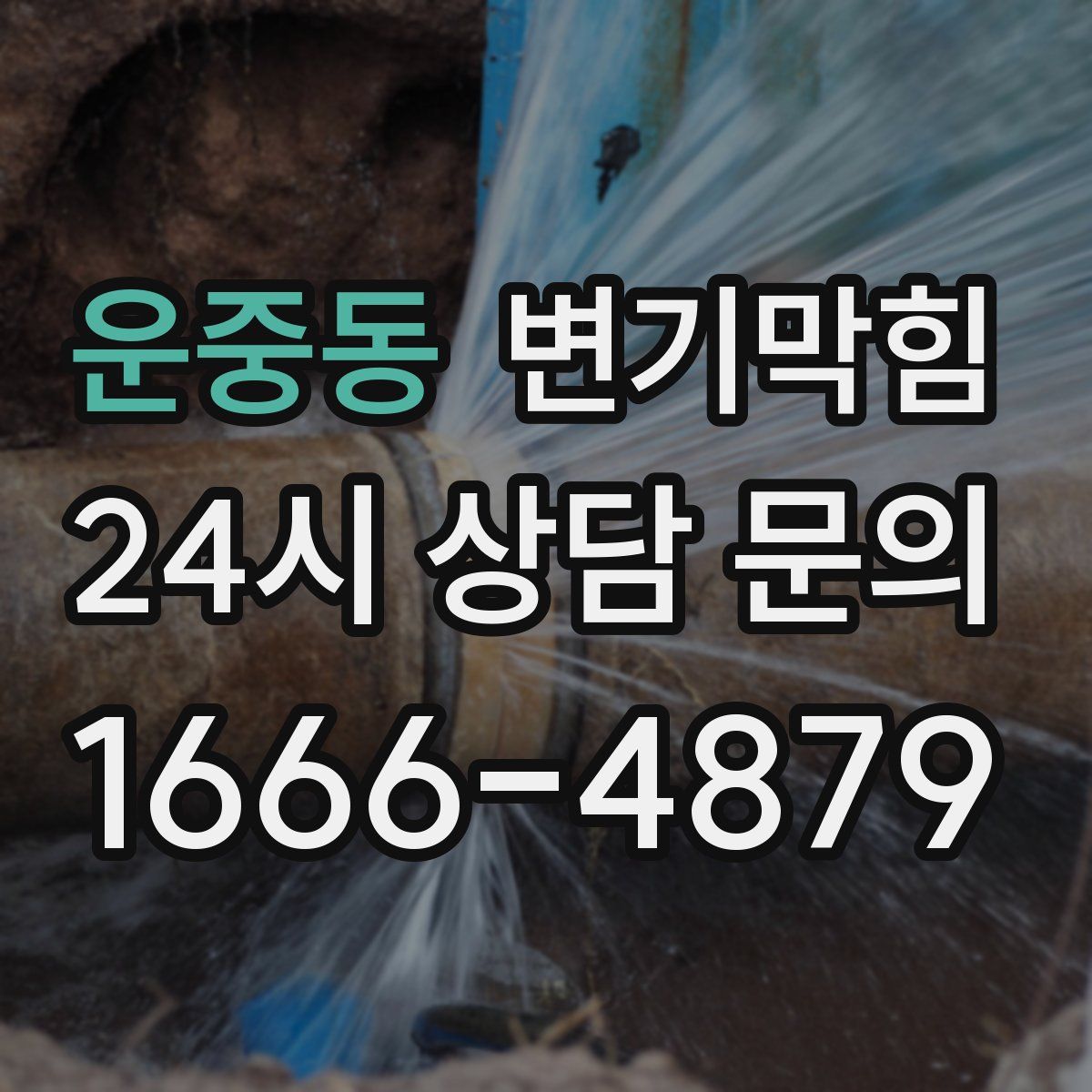 운중동 변기막힘
