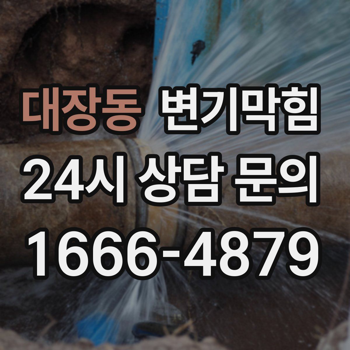 대장동 변기막힘