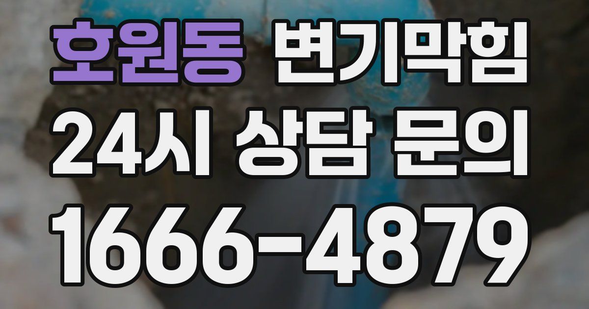 호원동 변기