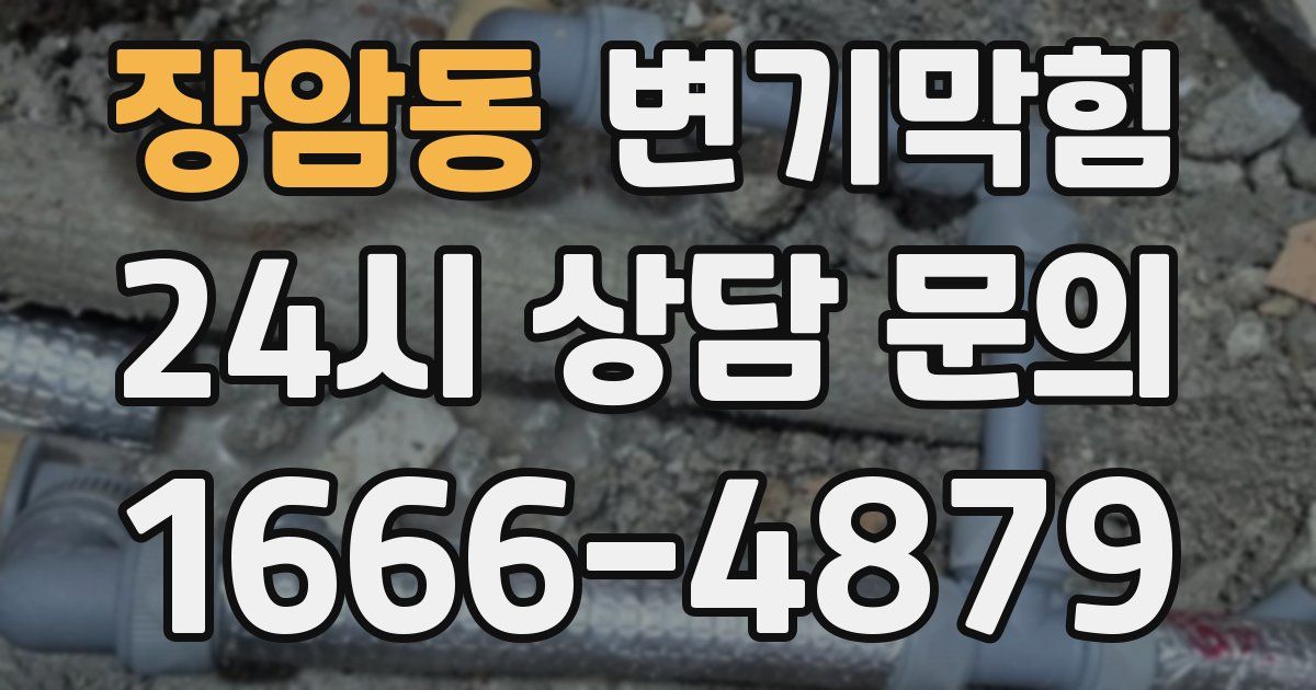 장암동 변기