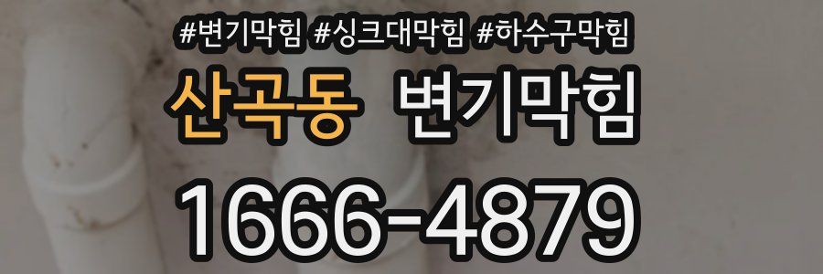 변기막힘