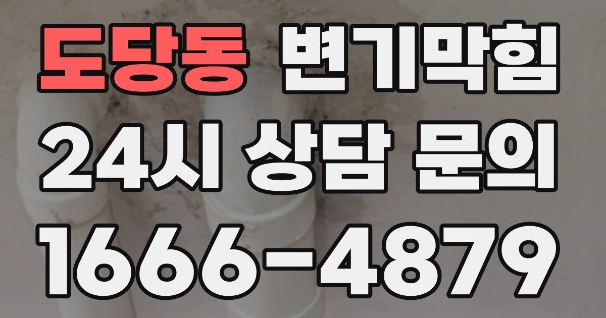 도당동 변기