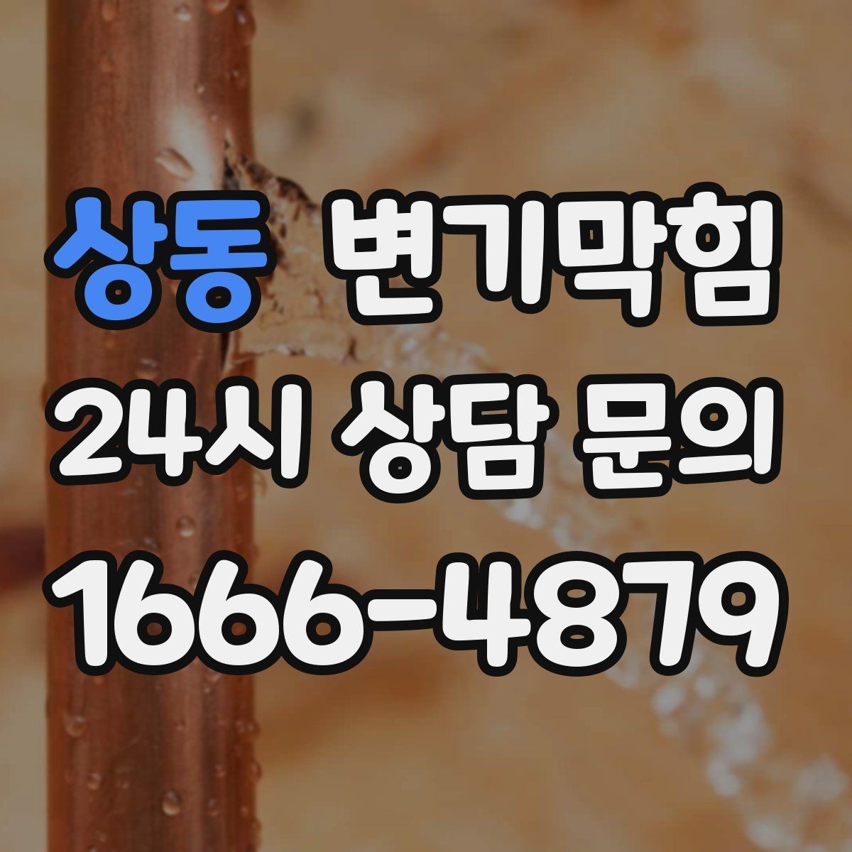 상동 변기막힘 사무실 화장실뚫기 회의 일정 사수