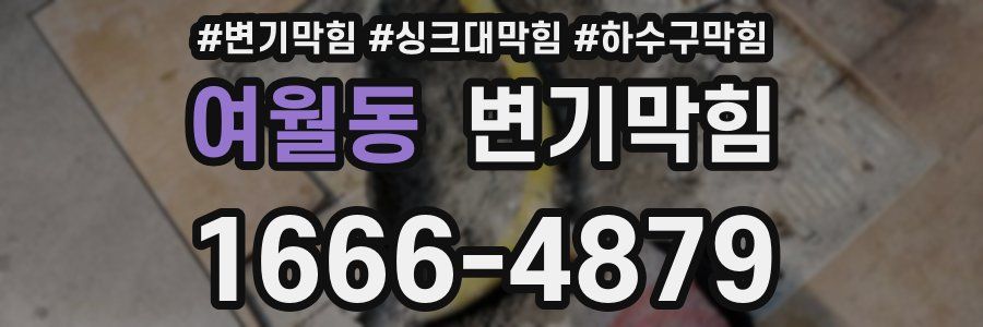 변기막힘
