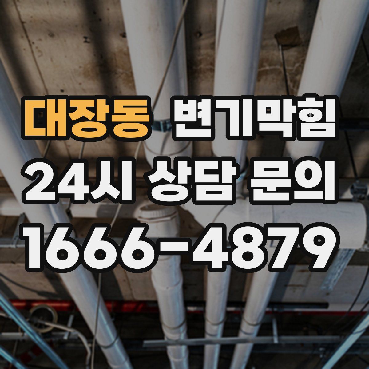 대장동 변기막힘