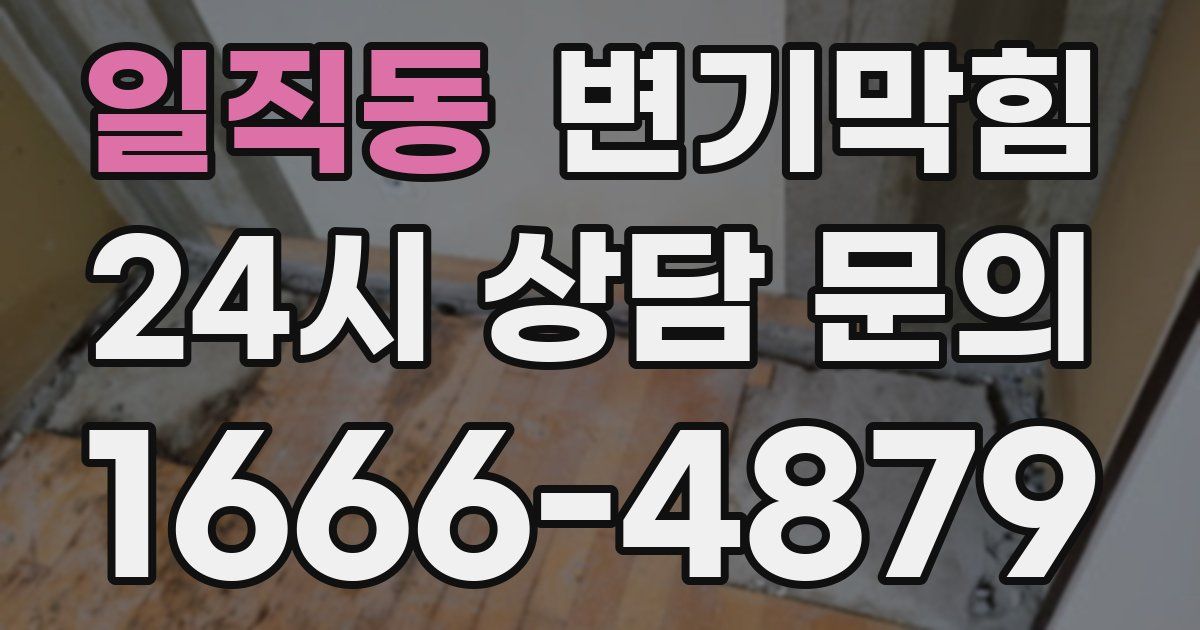 일직동 변기