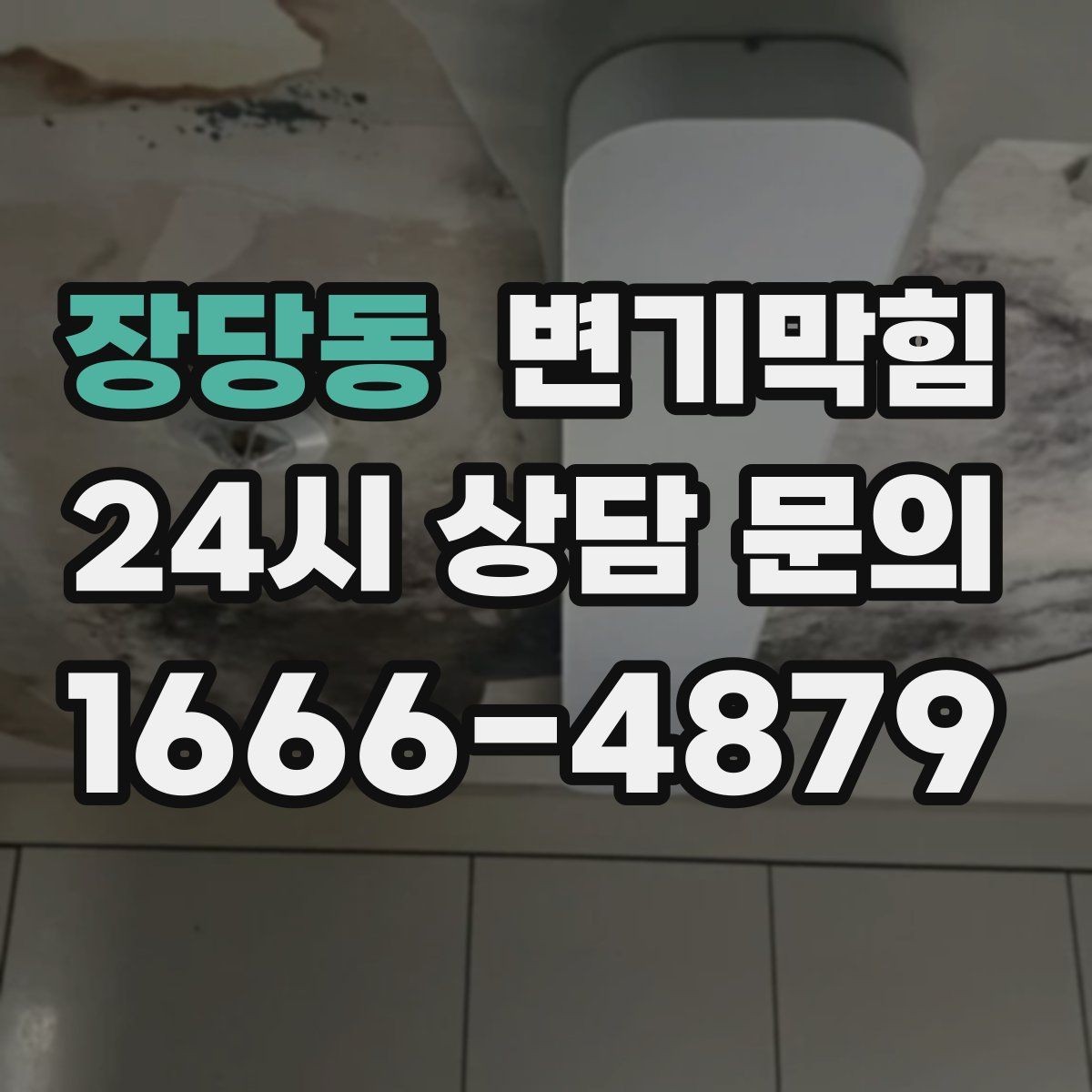 장당동 변기막힘 단독 사진 리포트·영수증 동시 제공