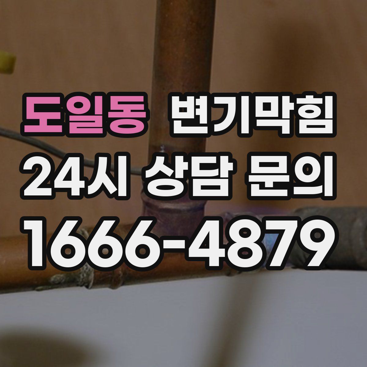 도일동 변기막힘