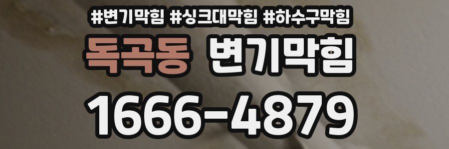 변기막힘