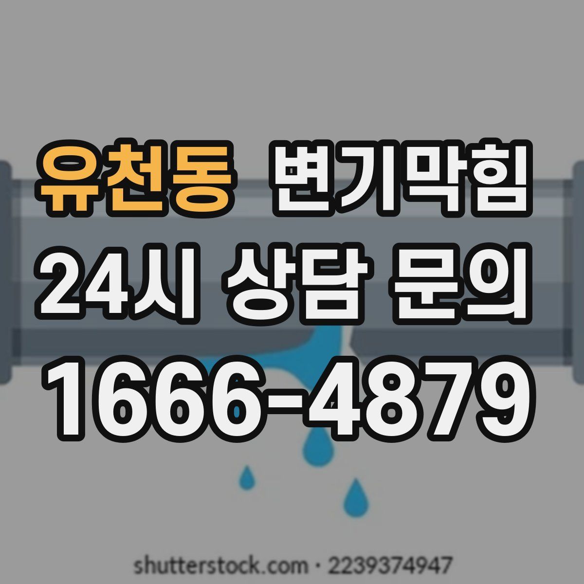 유천동 변기막힘
