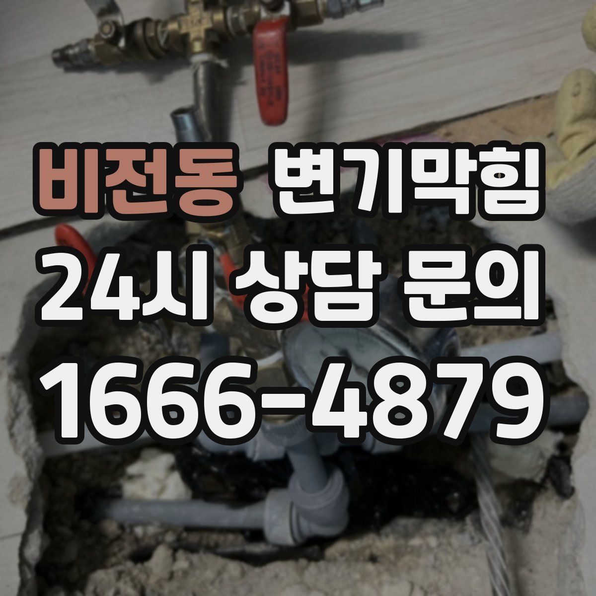 비전동 변기막힘