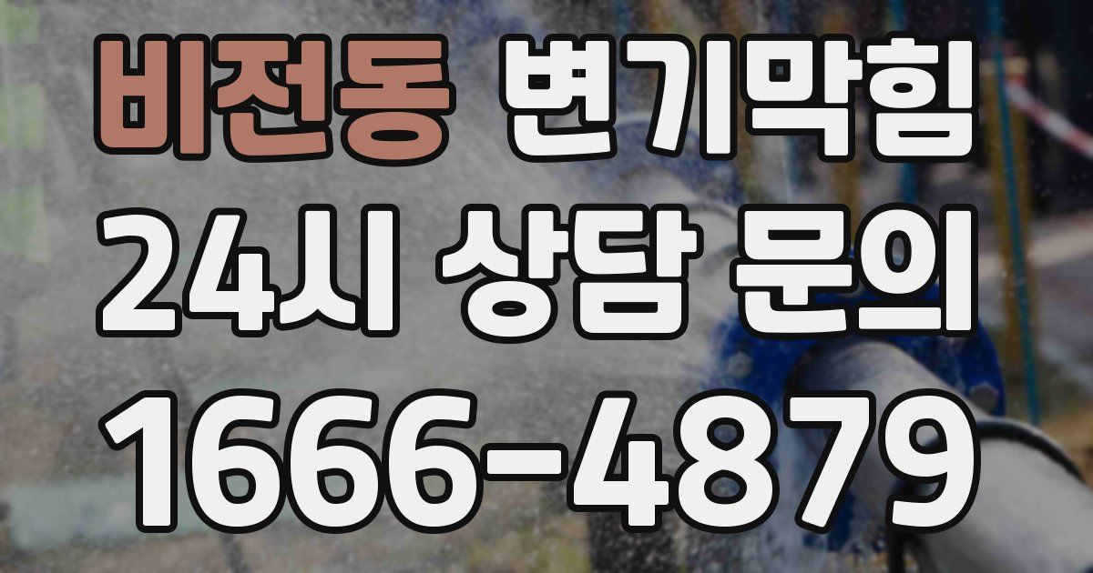 비전동 변기