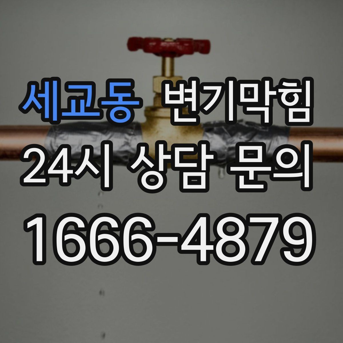 세교동 변기막힘 화장실변기막힘 악취·거품 동시 대응