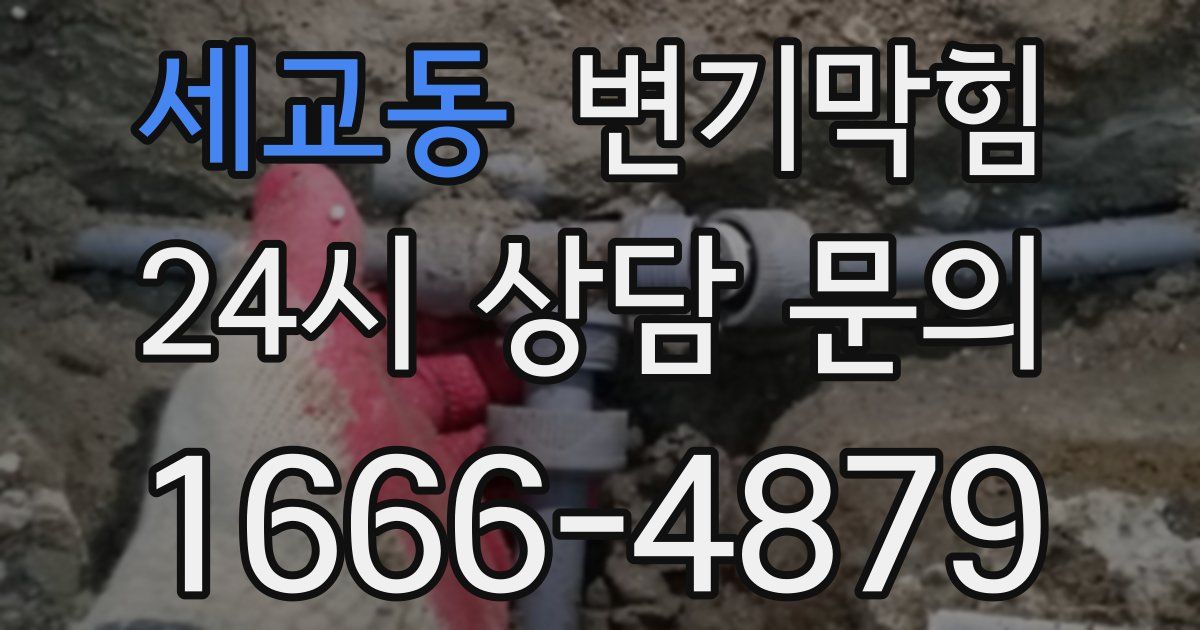 세교동 변기