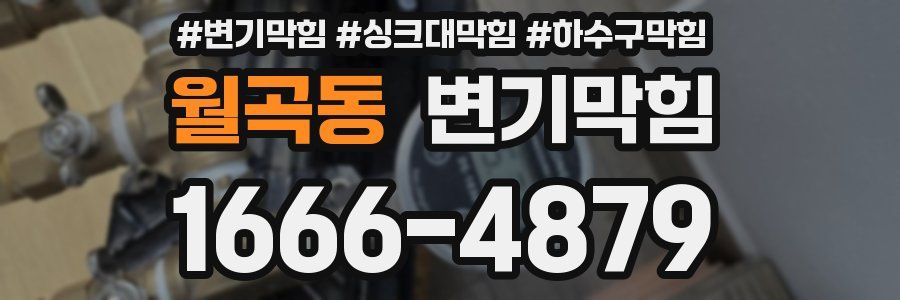 변기막힘
