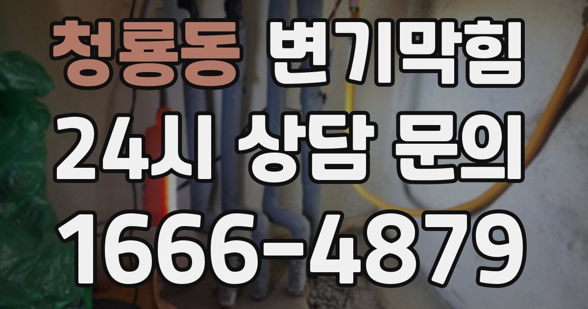청룡동 변기