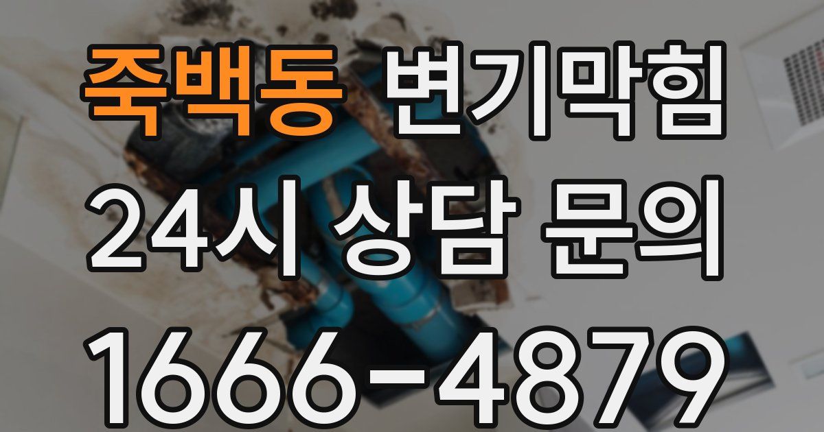 죽백동 변기