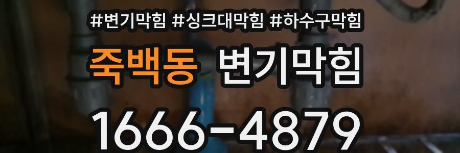 변기막힘