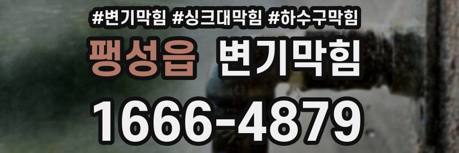 변기막힘