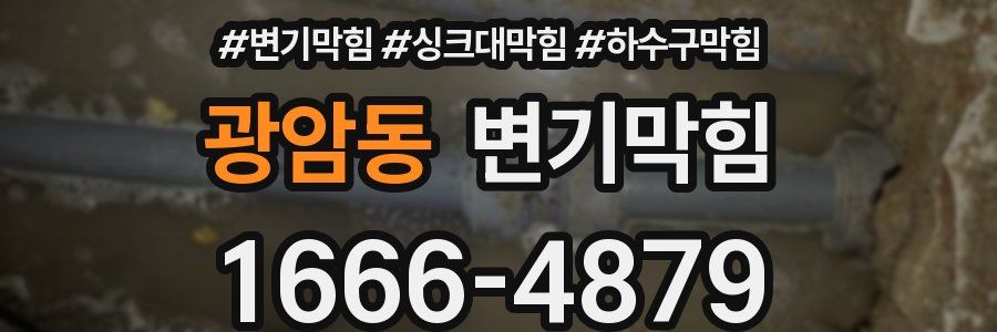 변기막힘