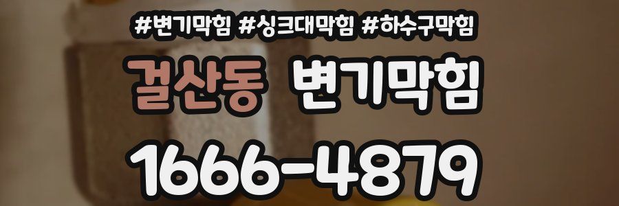 변기막힘