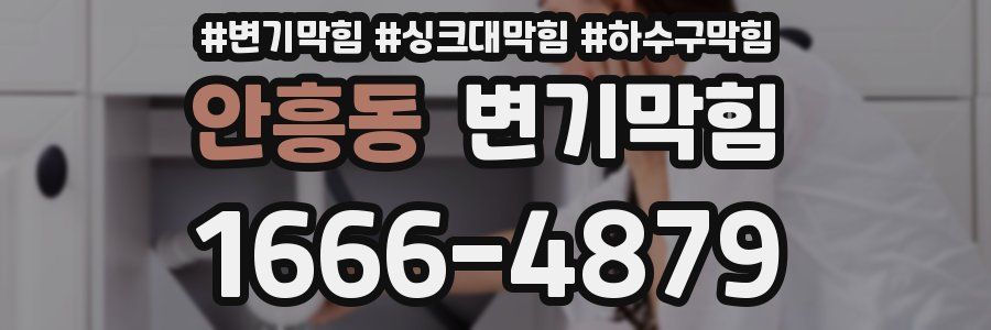 변기막힘