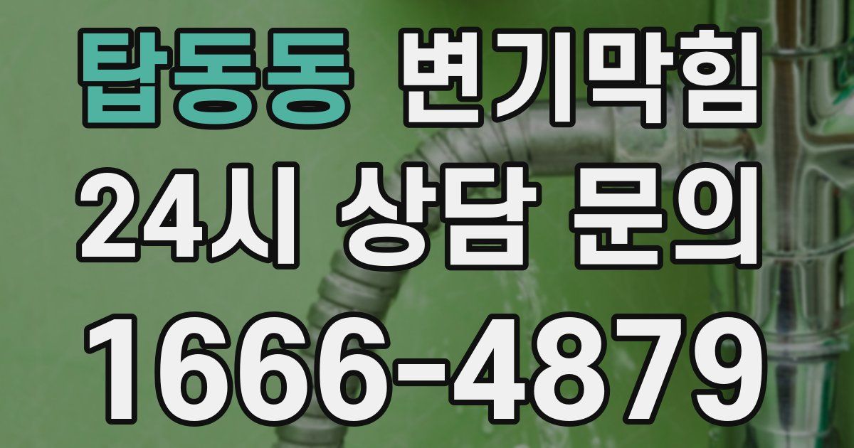 탑동동 변기