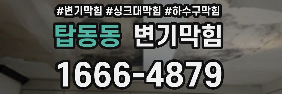 변기막힘