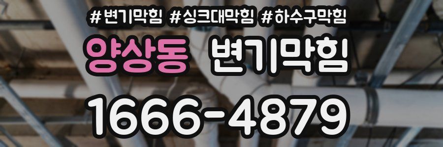 변기막힘