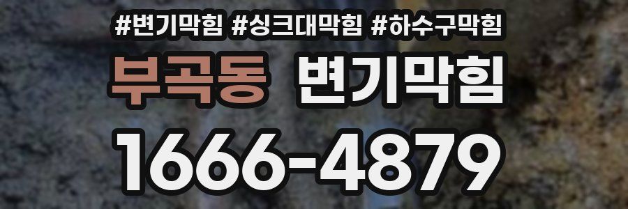 변기막힘