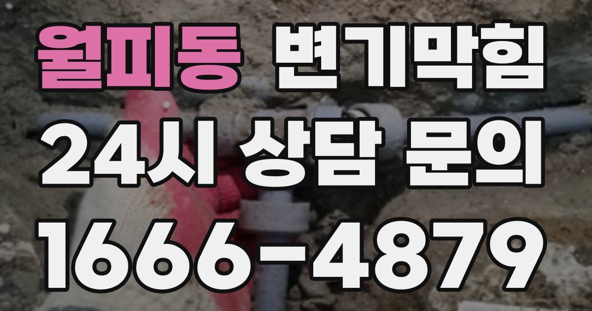 월피동 변기