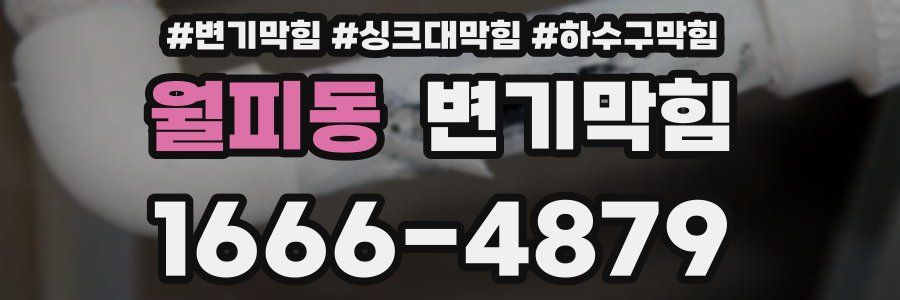 변기막힘