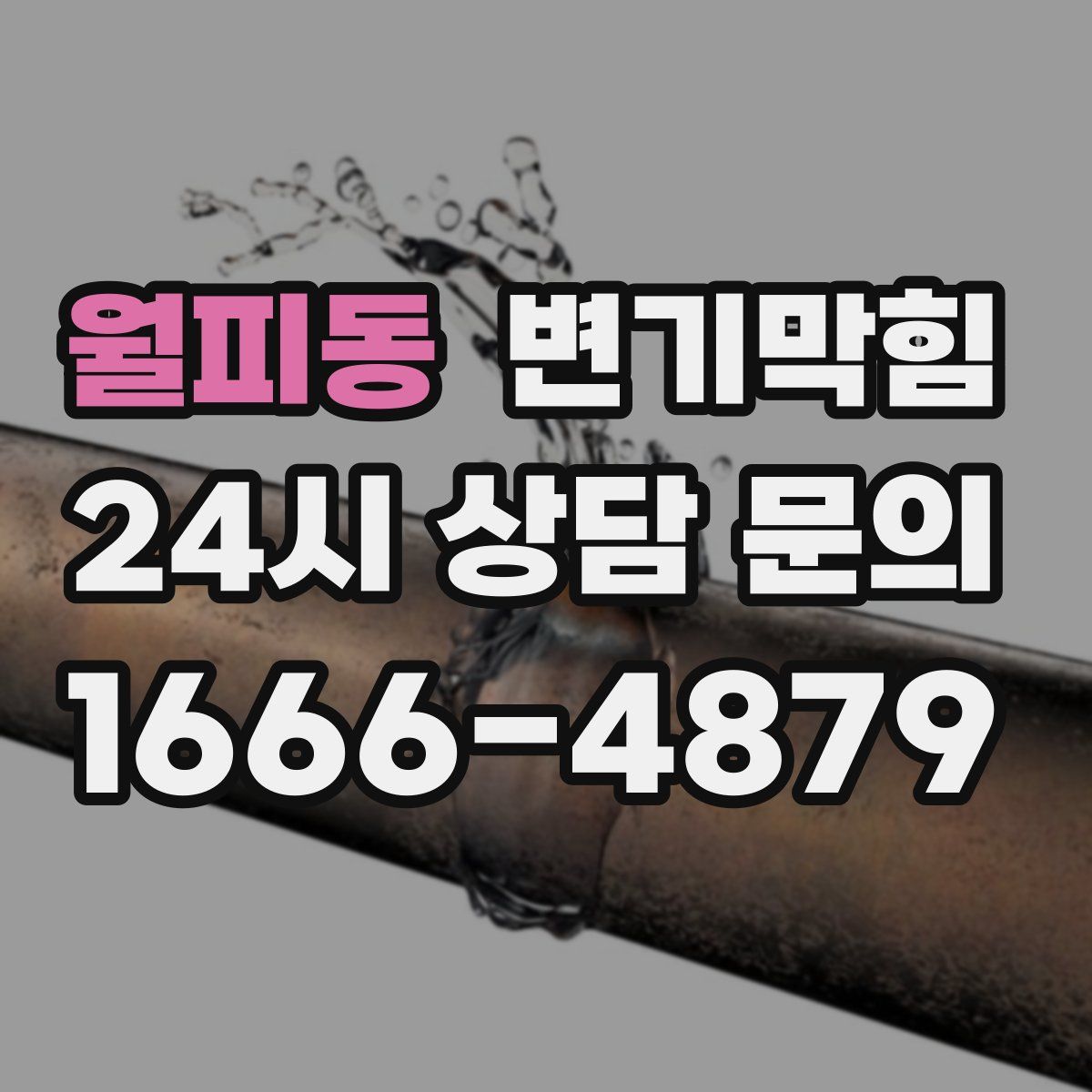 월피동 변기막힘