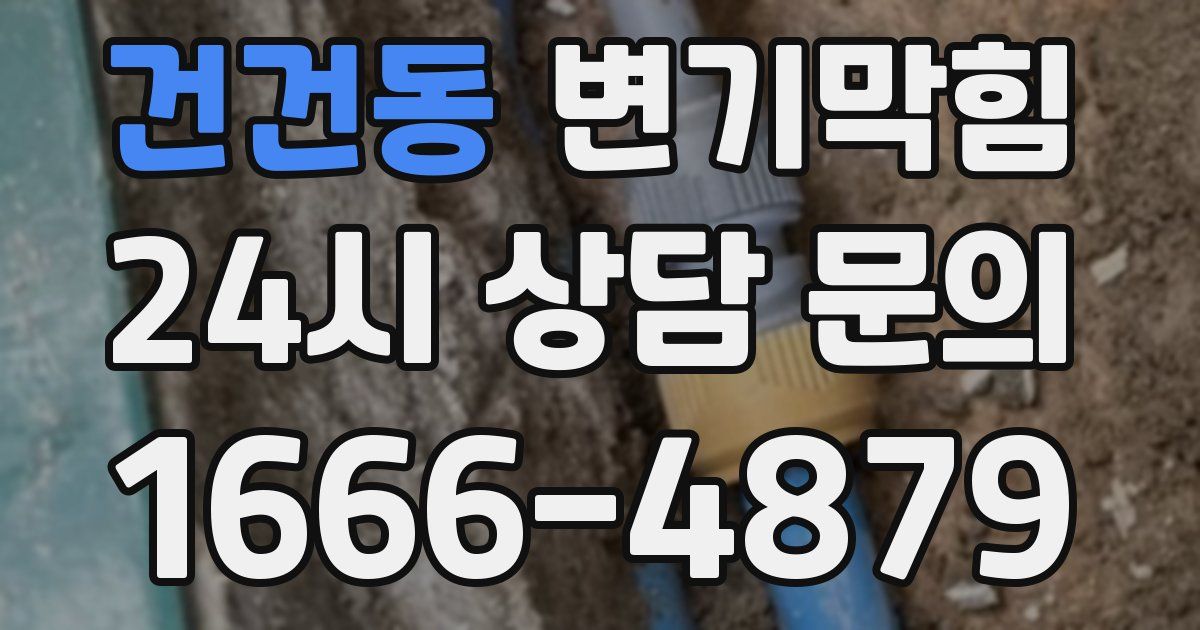건건동 변기