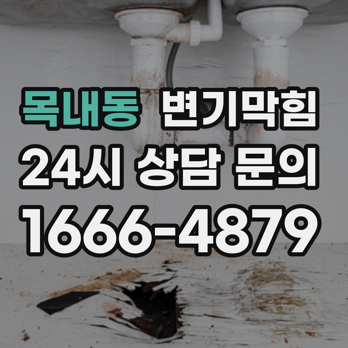목내동 변기막힘 빌라 배수구막힘 저층 역류 안정화