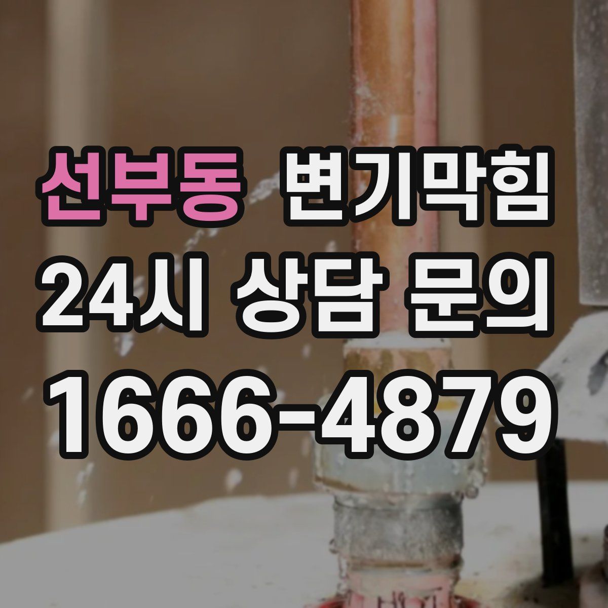 선부동 변기막힘