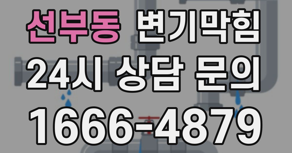 선부동 변기