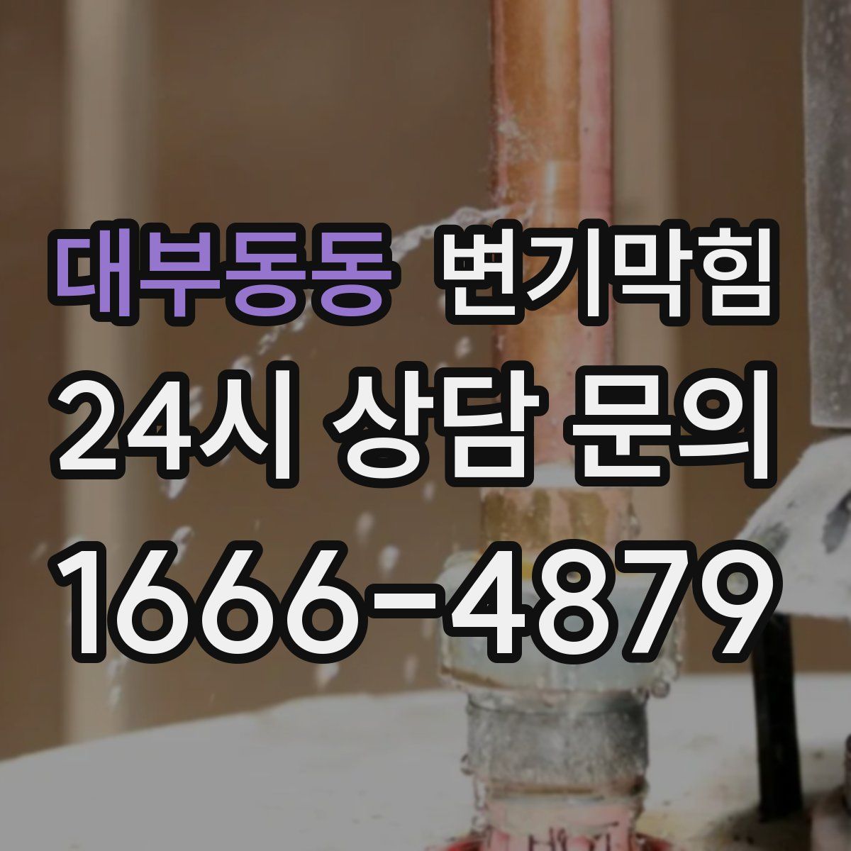 대부동동 변기막힘