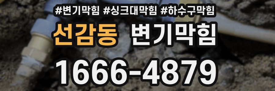변기막힘