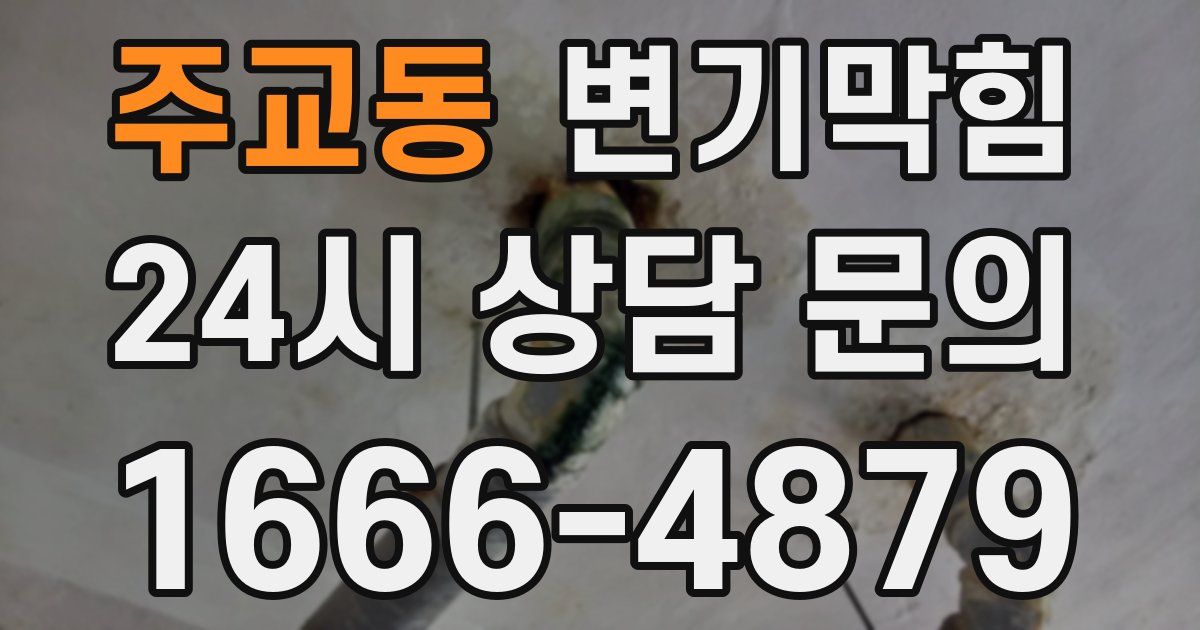 주교동 변기
