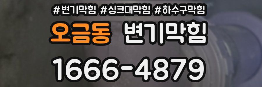 변기막힘
