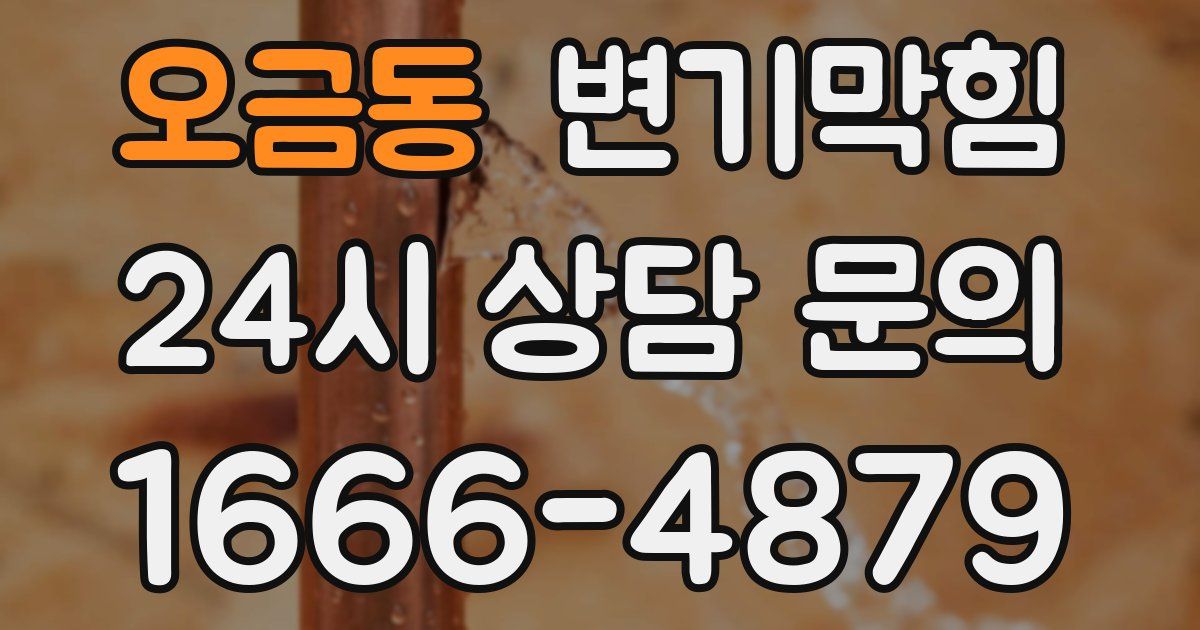오금동 변기